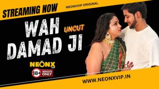 Wah Damad Ji – 2024 – Hindi Uncut Short Film – Neonx